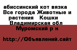 абиссинский кот вязка - Все города Животные и растения » Кошки   . Владимирская обл.,Муромский р-н